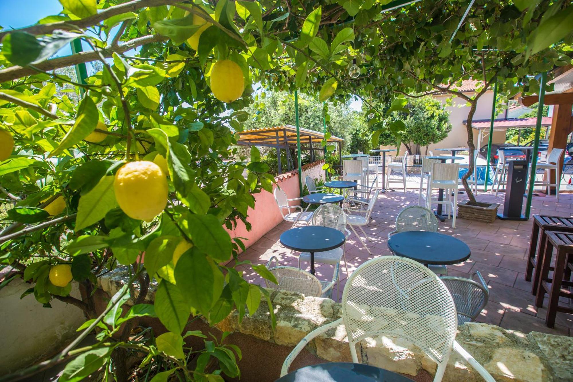 Villa Monsena Rovinj Bagian luar foto